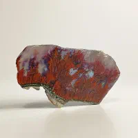 شجر گل اناری منظره