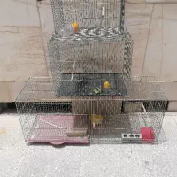 قفس پرنده