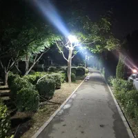 کوه کوهنوردی و پیاده روی