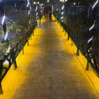 استخدام صندوق دار شب با شرایط ویژه