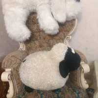 عروسک