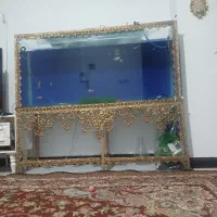 آکواریوم خاص