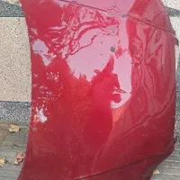 کاپوت استوک