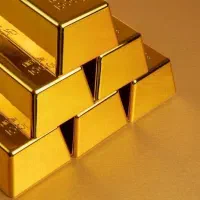 فروش دامنه گلدتکس