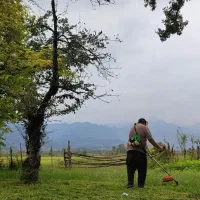 کلیه خدمات باغبانی و علف تراشی غرب گیلان