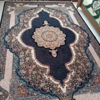 فرش|فرش|نسیم‌شهر, |دیوار