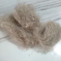 فروش‌پشم حلاجی‌شده‌شسته‌شده