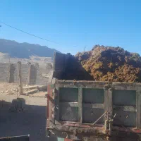 فروش کود گاوی خالص خالص