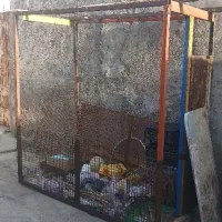 قفس پرنده