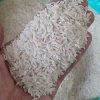 برنج علی کاظمی و صدری هاشمی