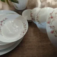 سرویس آرکوپال و شیشه ای