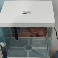 آکواریوم دلسا k390