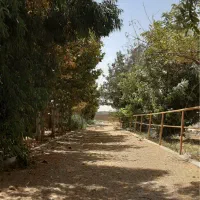 پانسیون و نگهداری اسب