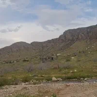 ملک بیابان ، پلنگان