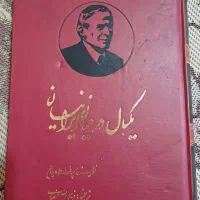 کتاب ایرج مریزا و کتاب یک سال درمیان ایرانیان