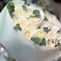 میلی ۱۳۰هزار تومن هدیه ورود و ۵سوت برای هردعوت