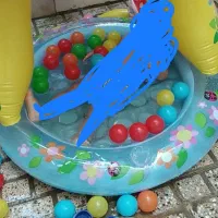 استخر بادی کودک