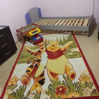 دو عدد قالیچه چهار متری ساوین طرح برجسته