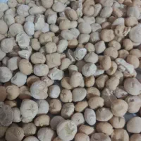 کشک تازه تازه