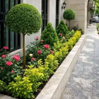 خدمات باغبانی تعویض خاک گلدان طراحی باغچه کاشت گل