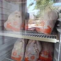 مرغ فروشی کشتار روز پیک رایگان
