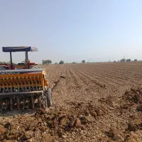 کاشت شلتوک وماش با همدان کار 30-20