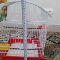 پرنده باقفس