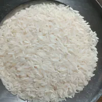 برنج طارم هاشمی