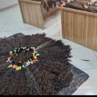 خریدار اصلی موی بانوان بدون واسطه
