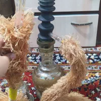 قیلون