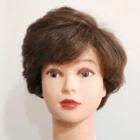 کلاه گیس