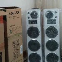 یک جفت باند بزرگ نونو