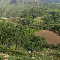 کوه نوردی