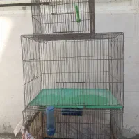 قفس قناری سهره