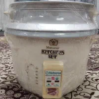 پلوپز برقی