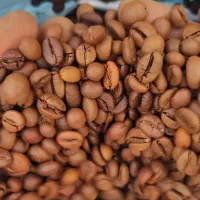 پخش عمده دانه قهوه انواع پودریجات