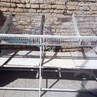 فروش دکور میوه فروشی