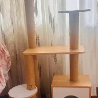 اسکرچر درخت گربه