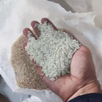 برنج طارم هاشمی