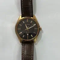 سیتزن  مدل Bl 1033