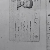 مدارک گم شده به نام علی محمد فیضی
