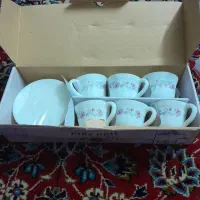 چینی ارکوپال زیبا