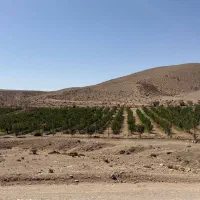 فروش زمین 5000 متری دماوند روستای شاهبلاغی