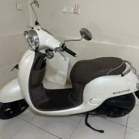 پاکشتی هندا گرینو
