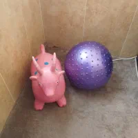 بز بادی با توپ بادی