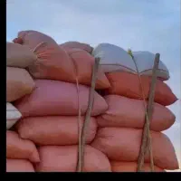 فروش فوری کاه