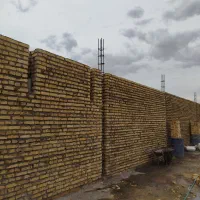 استاد برنا