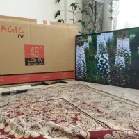 تلویزیون ۴۳ نو نو و....