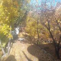 بازار بزرگ غرب کشور
