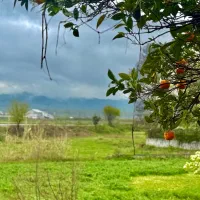 سفر طبیعت گردی